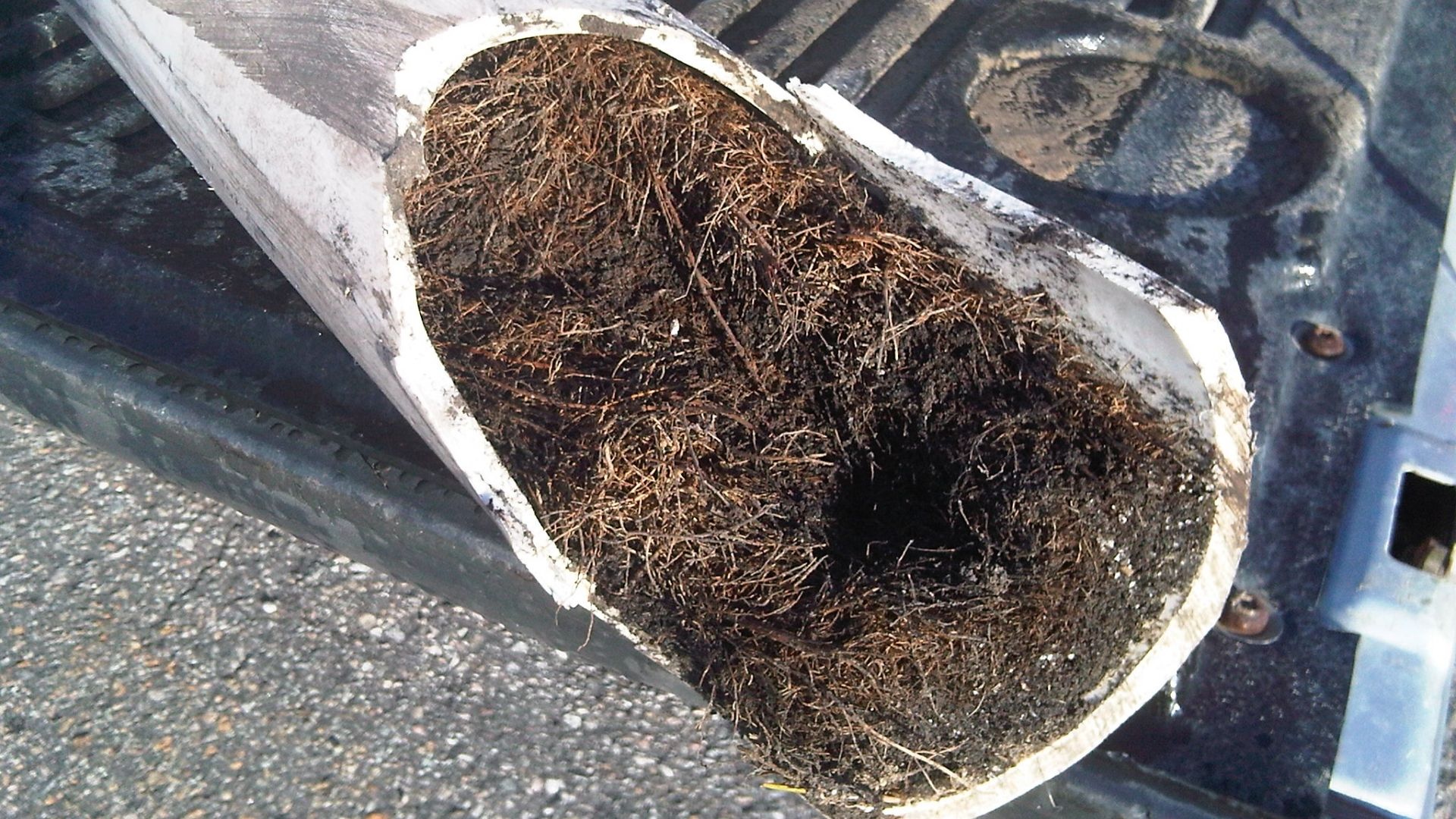 Tree Root Found In Pipe