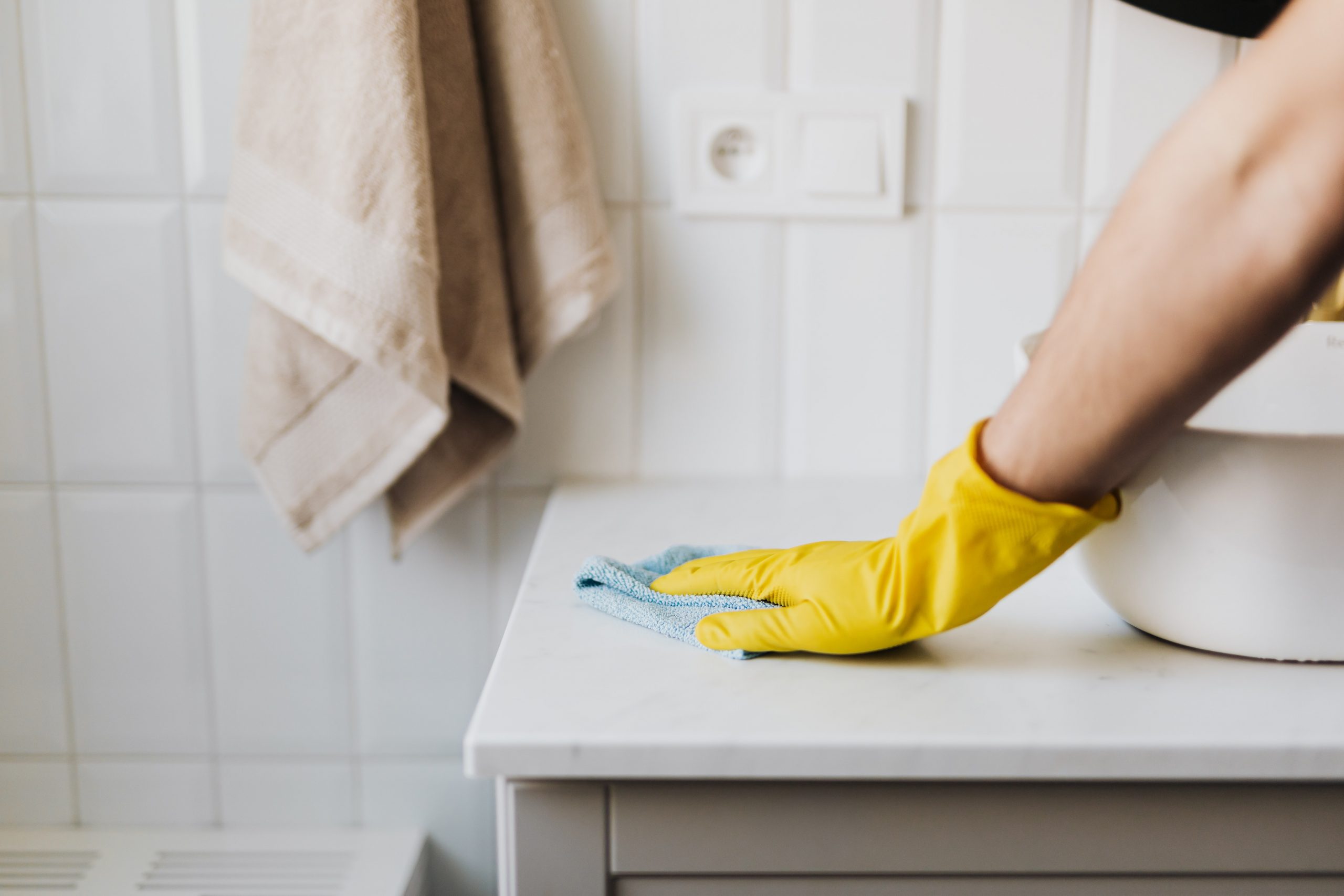Person Cleaning Bathroom To Prevent Drain Fly Infestation