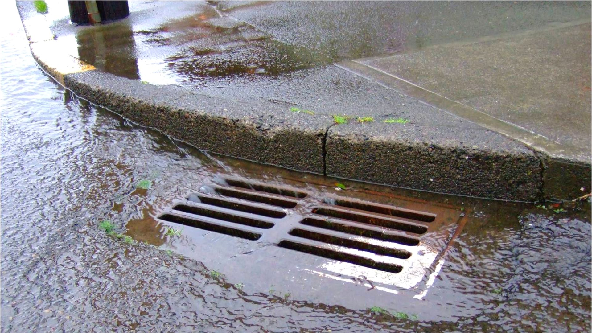 Brown Rainwater Flowing Down Street Stormwater Drain