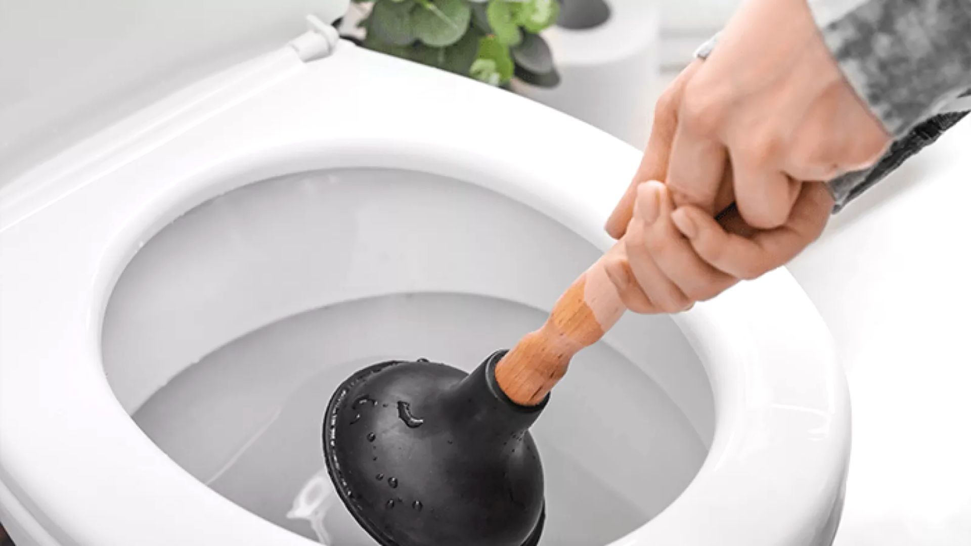 Plunbing Toilet That Will Not Flush