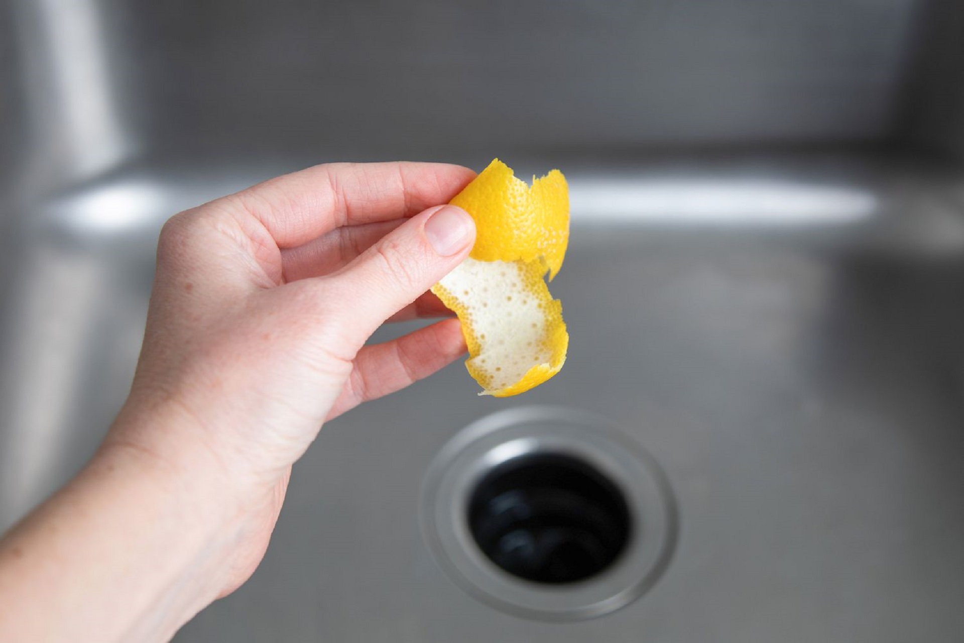 3 Tips On How To Clean A Garbage Disposal 5