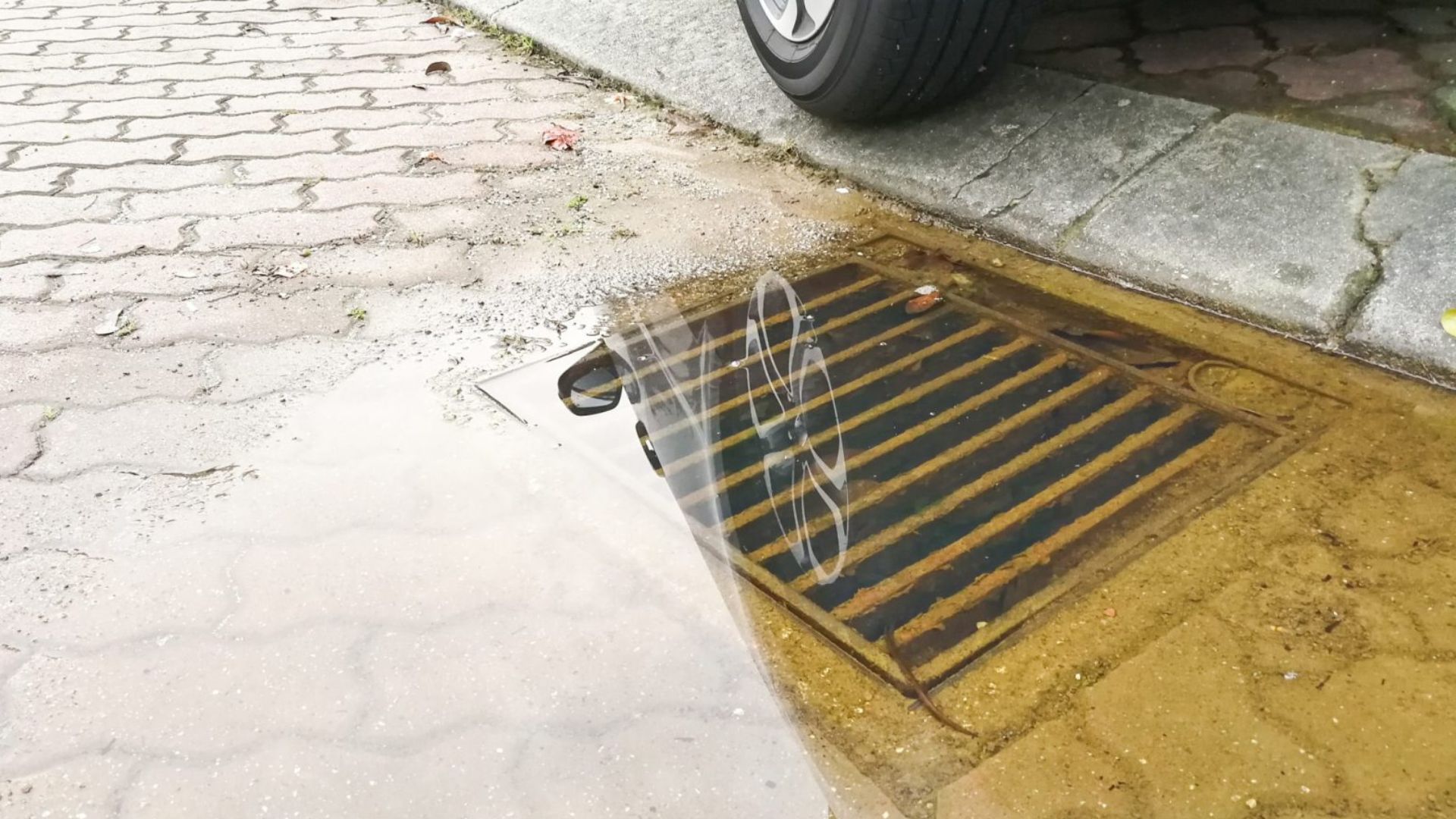 Standing Water In Clogged Drain