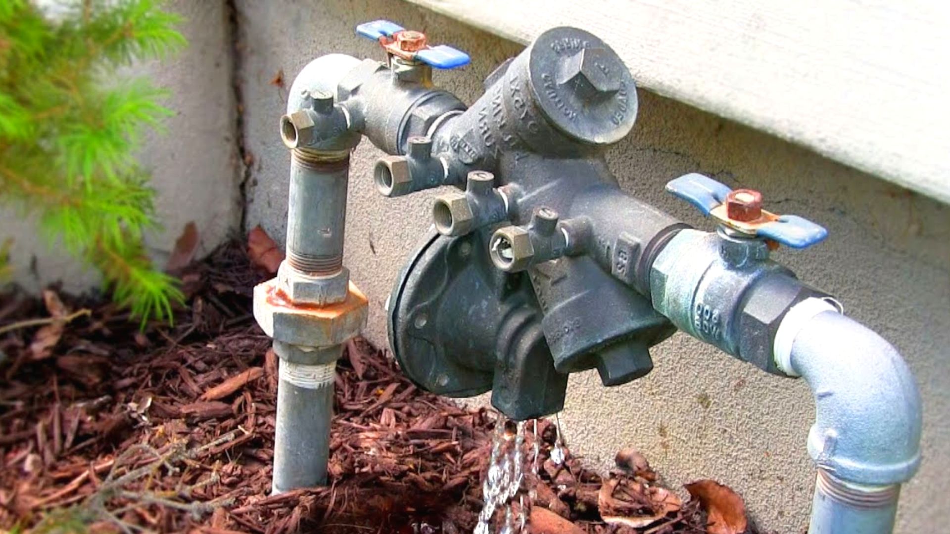 Backflow Device Installed