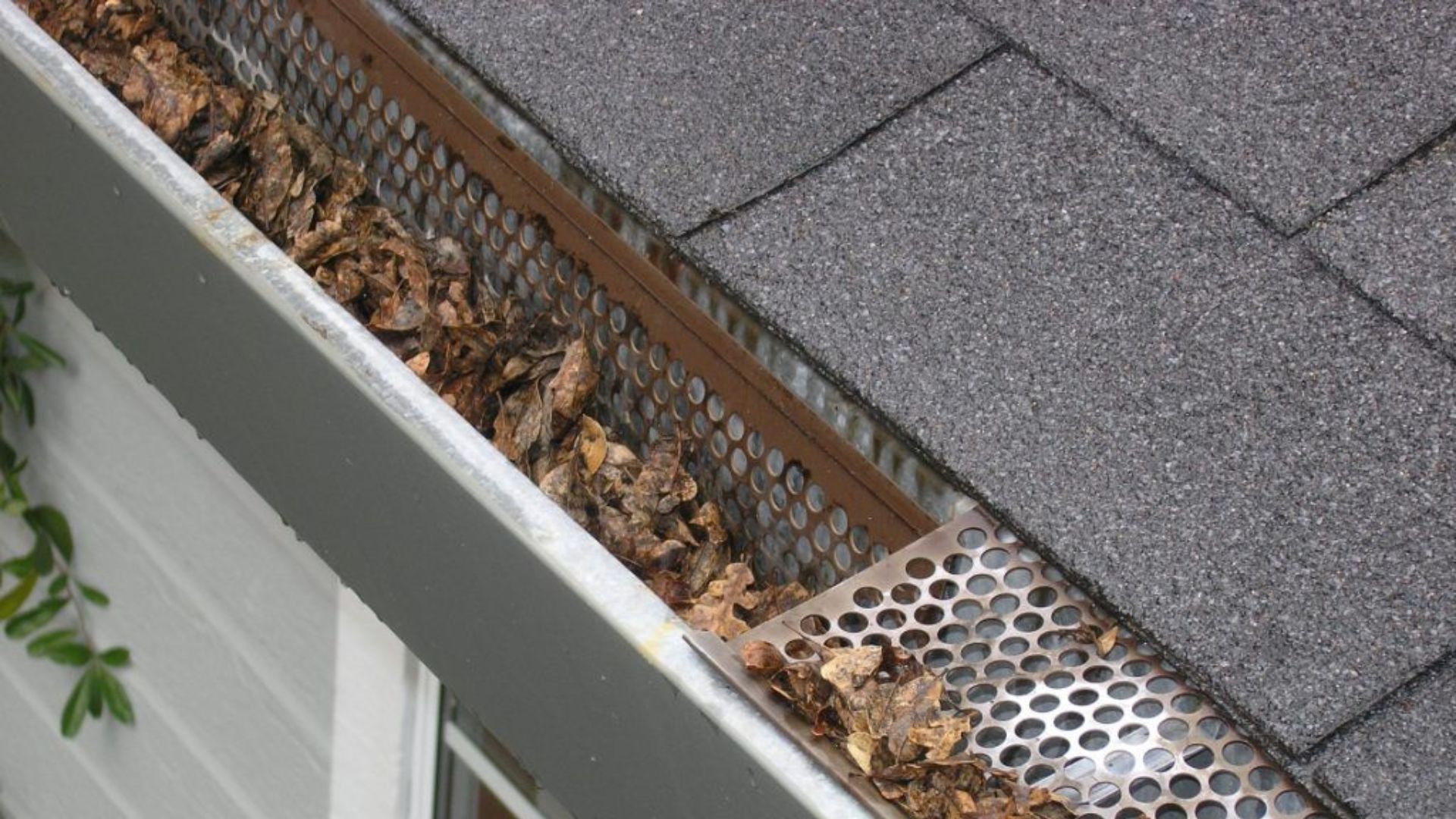 Gutter Filled With Leaves