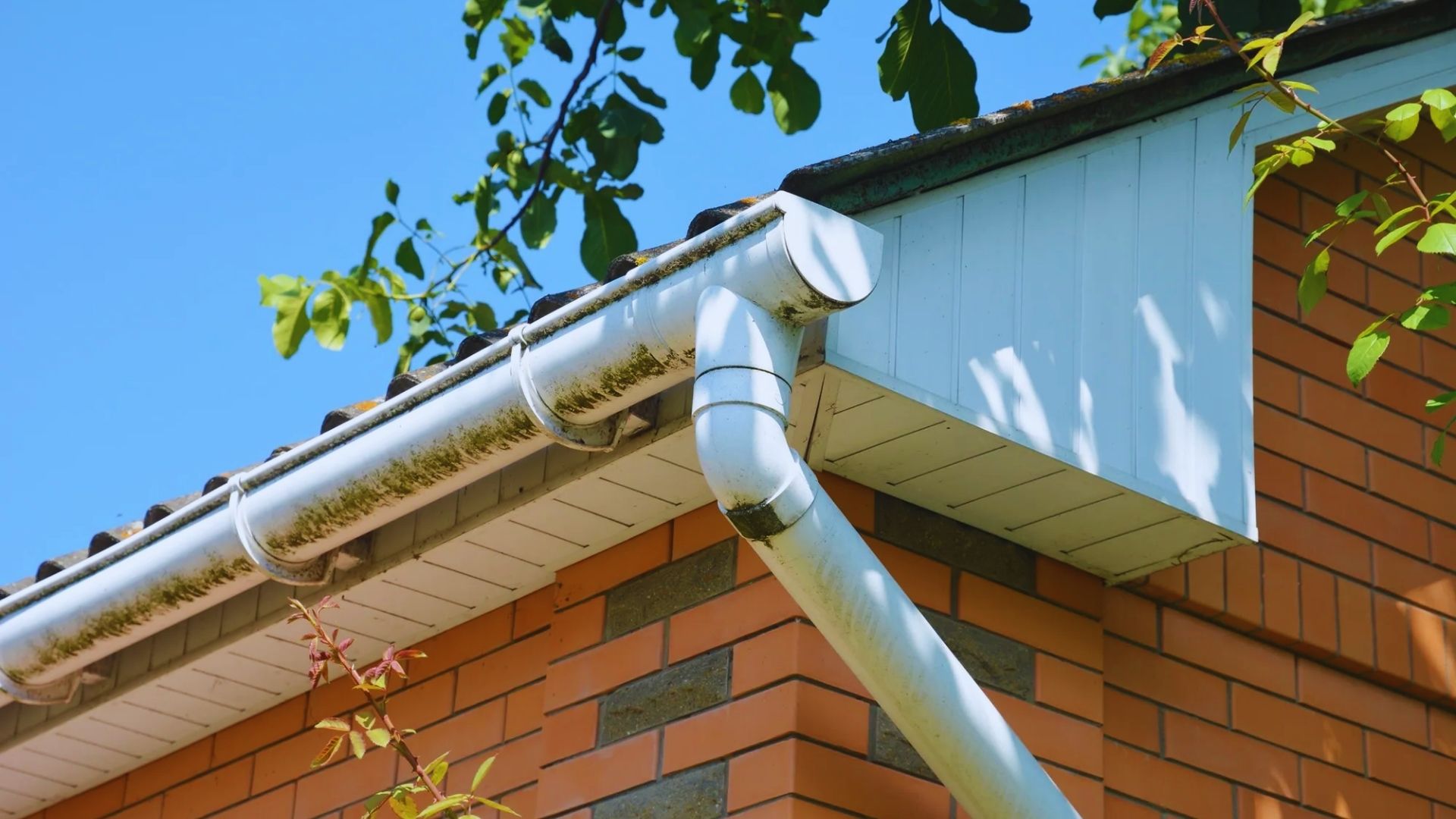 Household Gutter With Blockage