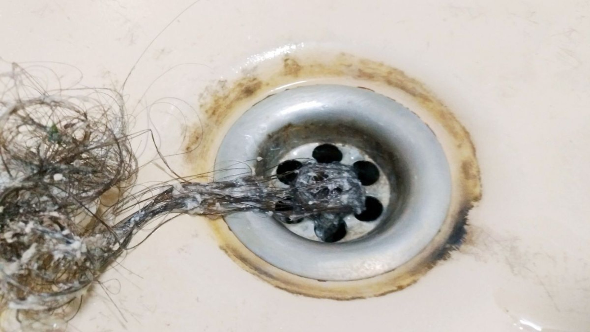 Hair Pulled From Drain