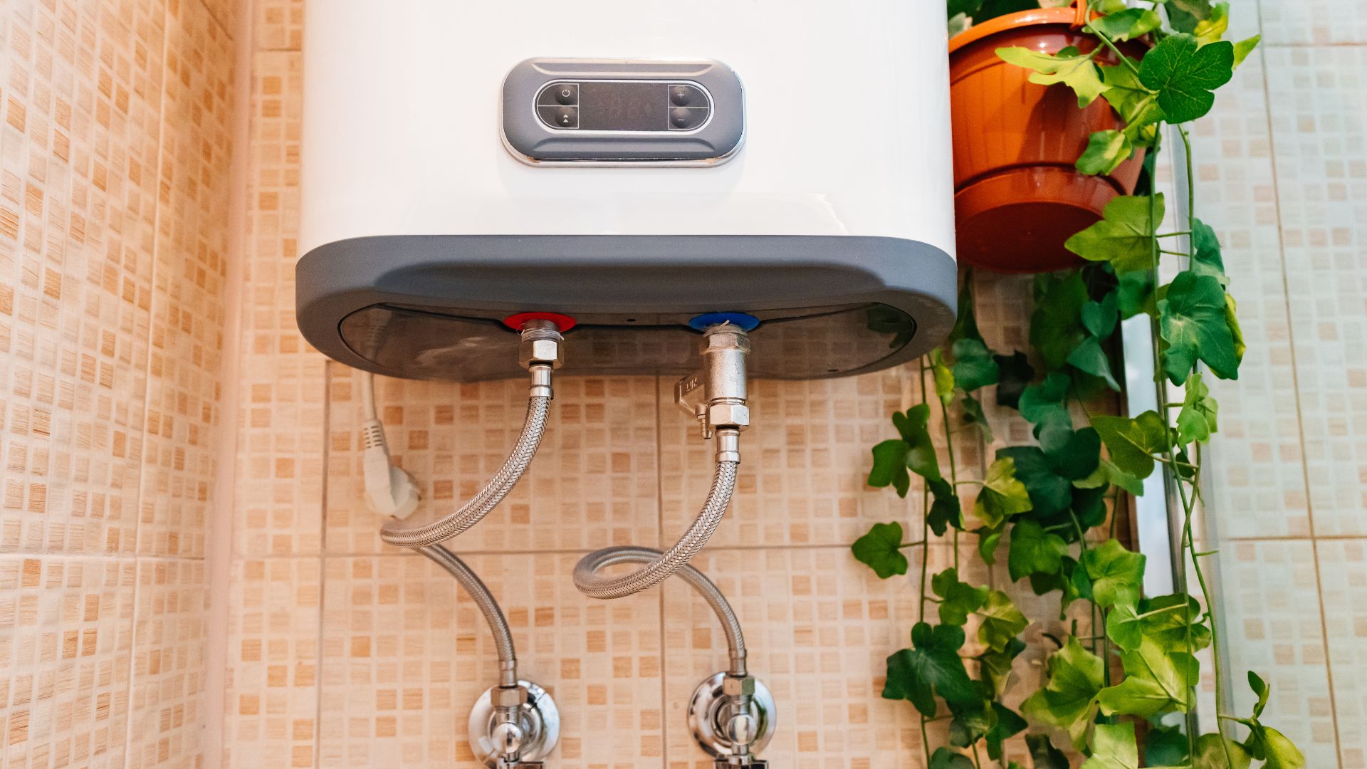 Electric Hot Water Heater With Plants