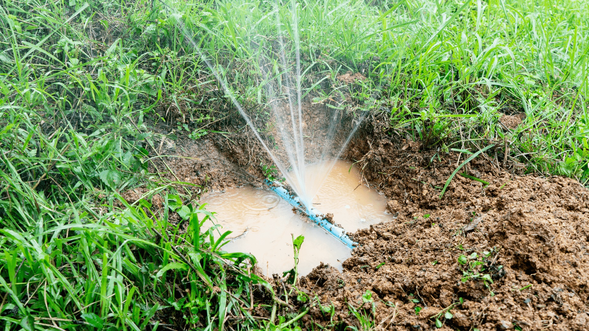 4 Common Water Sprinkler Emergencies And How To Fix Them 3