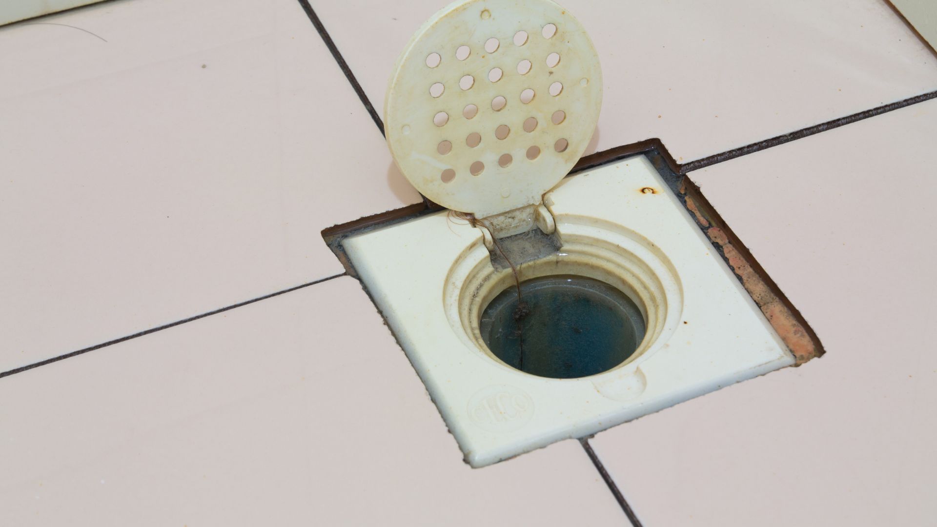Floor Drain With Filter Lid