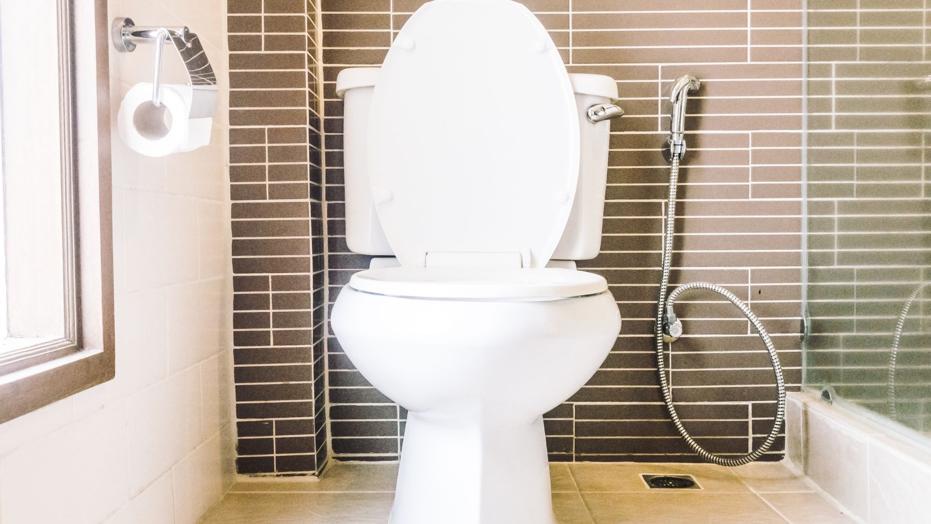 Fixing Common Toilet Issues