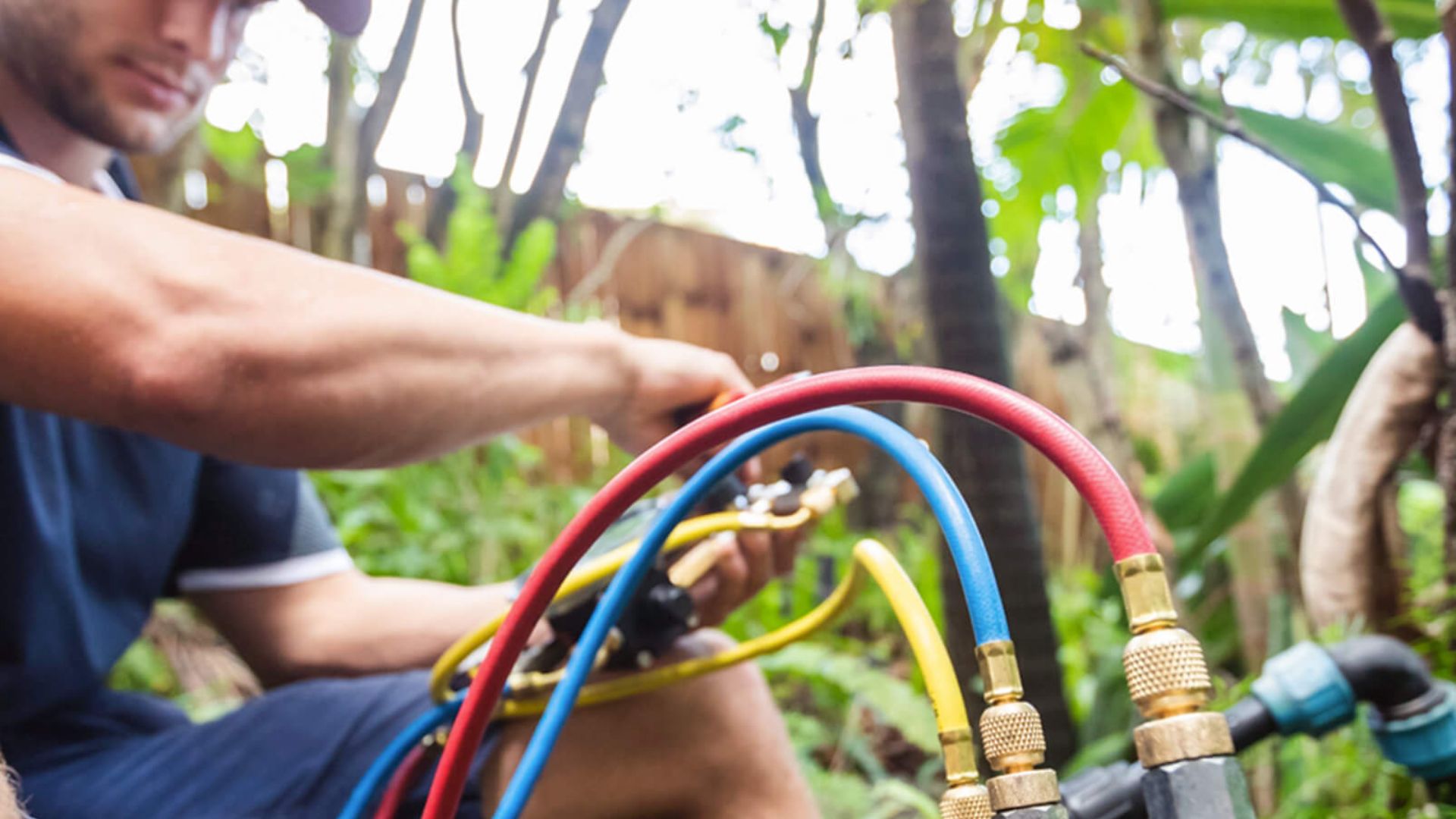 Gold Coast Backflow Laws