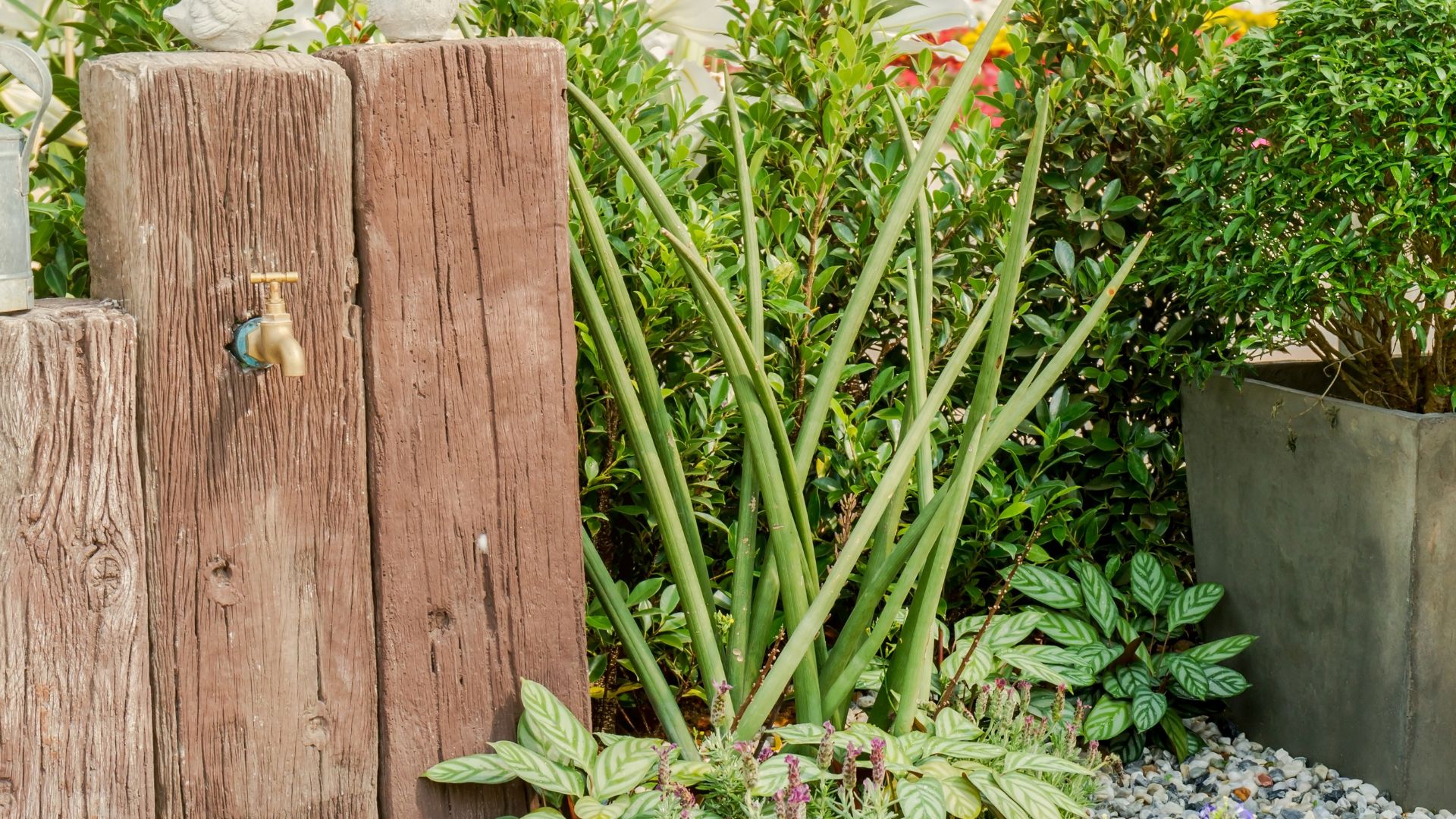 Garden Tap Installed On Timber